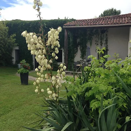 Le Phoenix Holiday home Linars