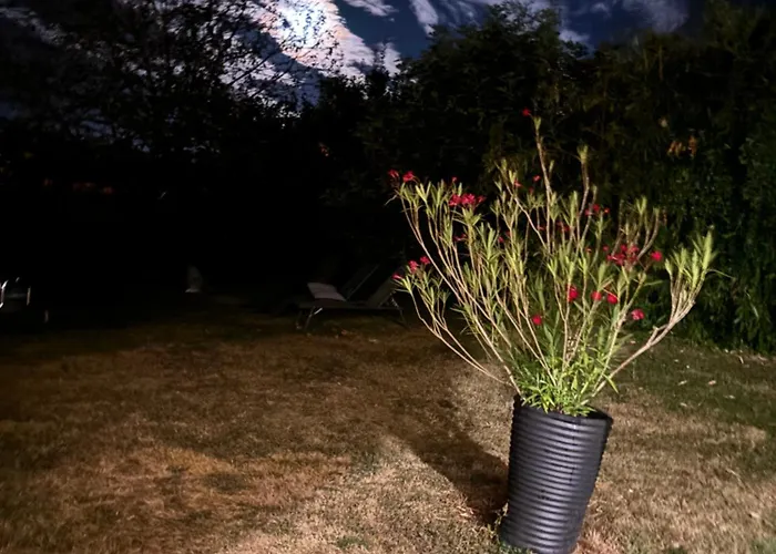 Dom wakacyjny Le Phoenix